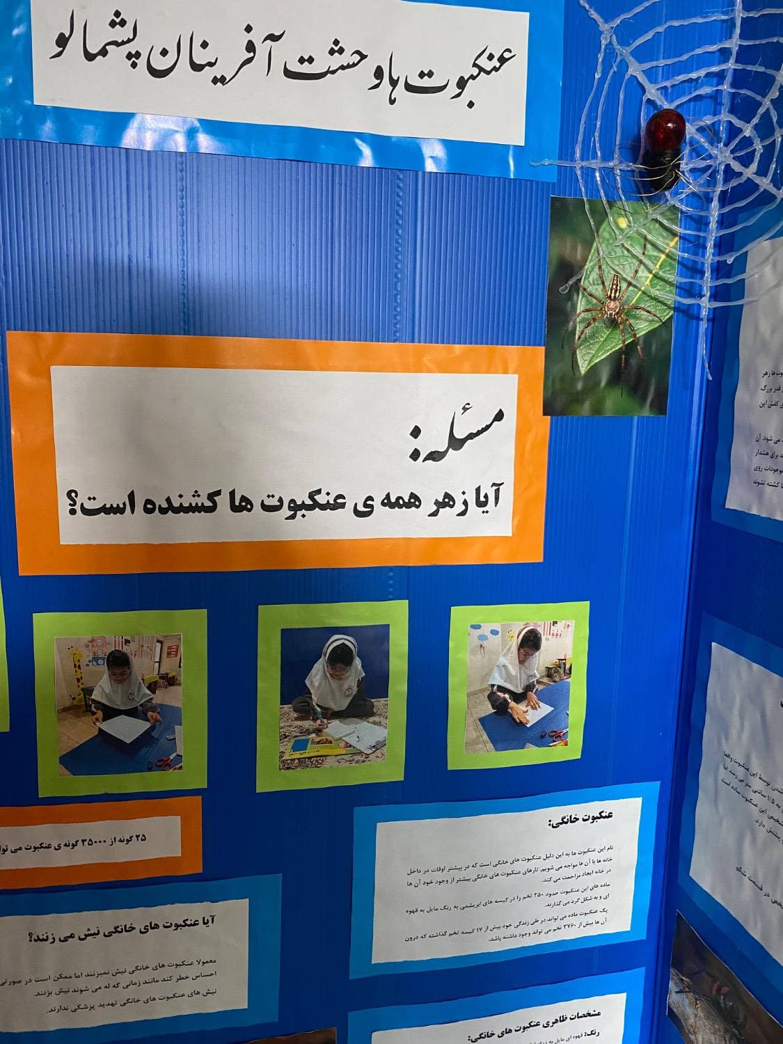 🌺طرح جابر